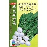 ナント種苗 早生今市蕪(カブ)