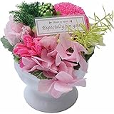 nobrand プリザーブドフラワーアレンジＳ（陶器入り）レッド オブジェ (E9104-101)