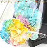 ほんまもん屋 母の日 ギフト レインボーカーネーション ３輪 花束 プレゼント 用 ギフト ボックスでお届け