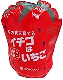 プロトリーフ 袋のまま育てられる イチゴはいちご培養土 約12L