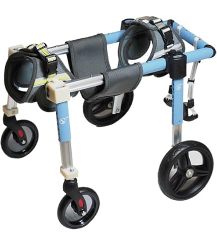 Amazon.co.jp: 犬用4輪車椅子 歩行器 8キロ以下 オーダーメイド