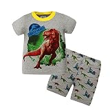 vicvik恐竜Little Boys 'パジャマセット100 %コットン幼児用子供用パジャマ服セット 6T ブルー