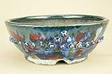いよじ園 （盆栽鉢） 越前文山作 手びねり 彩色鋲打丸鉢（貴風サイズ）（いよじ園 伊予路園）