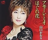 �A���[���E�~�I