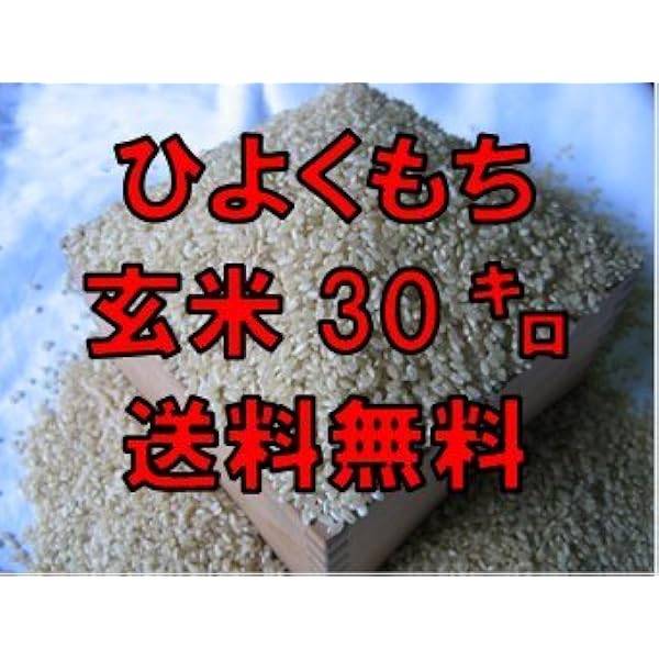 Amazon.co.jp: 令和7年産 北海道産 きたゆきもち 玄米 30kg もち米