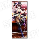 ユニオリズム☆カルテット ユニオリヒロインズ・バニーガールコレクション ～ロングタペストリー・みなもver.【グッズ】