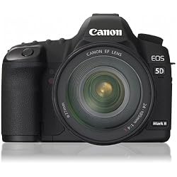 Canon デジタル一眼レフカメラ EOS 5D MarkII EF24-105L IS U レンズキット