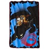 How to Train Your Dragon 2 Twin Blanket Twin 62" X 90" [並行輸入品]