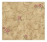 York Wallcoverings LN7575SMP Remington Rose Fresco Scroll 8-Inch X 10-Inch Wallpaper Memo Sample [並行