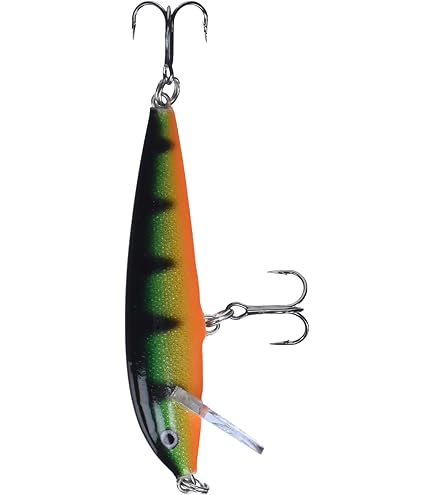 Amazon.co.jp: ラパラ(Rapala) シャッドラップ 8cm 11g シャッド