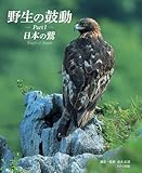 野生の鼓動 PartⅠ 日本の鷲