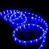 WYZworksブルーLEDロープライト – 柔軟な2ワイヤインドア/アウトドアアクセントHolidayクリスマスパーティー装飾用110 V照明| UL & CSA認定 100 ft No Model