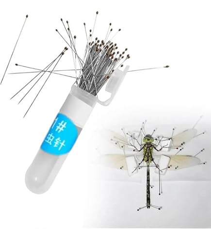 昆虫標本40匹セット　※A品B品 Amazon | JUJUGO 虫ピン 昆虫針 標本針 ステンレス製 40mm 100本セット