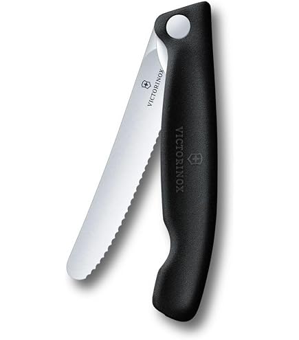 Victorinox Swiss Classic Folding Picnic Knife for Hiking, Fruits