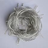 Copper Wire LED String Lights 33 ft with 50 LEDs Decorative Durable Flexible Wire lights for Trees W