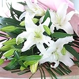花 誕生日 百合 大輪系 白ユリの花束 お花の数 100輪以上 白ユリ