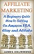 Affiliate Marketing: A Beginners Guide How To Selling On Amazon FBA, Ebay and Alibaba (English Edition)