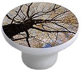 Carolina Hardware and Decor 2323 Autumn Tree Ceramic Cabinet Drawer Knob by Carolina Hardware and De