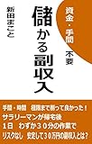 ９０日で儲かる副収入: サラリーマンが片手間で３０万！その方法とは？