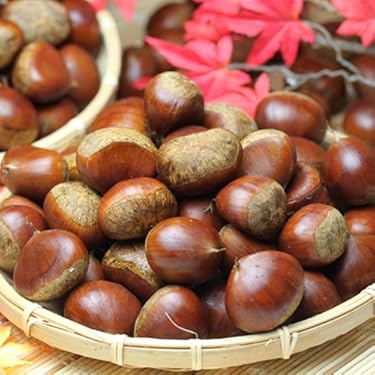 Amazon.co.jp 売れ筋ランキング: 栗 の中で最も人気のある商品です