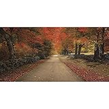 10月Lane by Lee Vieira – 18 x 9
