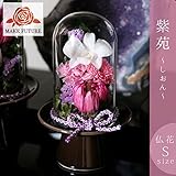 プリザーブドフラワー お手入れ不要 仏花 紫苑～しおん～ Sサイズ お供え花　仏壇花　法事　お彼岸　お盆　弔事　ガラスドーム入り　 送料無料