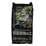 プロトリーフ 観葉植物の土 3L