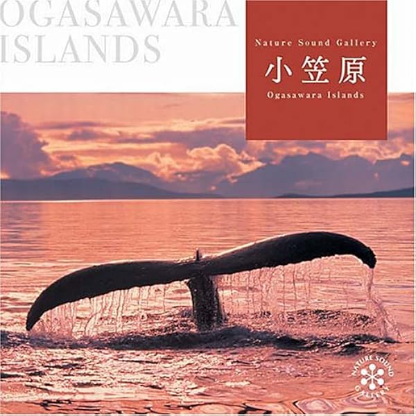 Amazon.co.jp: Healing Dolphin~ヒーリング・ドルフィン CD BGM 自然音
