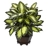 Nearly Natural 6720 Triple Golden Dieffenbachia Plant with Wood Vase, Green by Nearly Natural