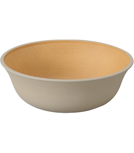 Amazon｜カノー アースカラー 抗菌 カレーパスタ皿 26×18cm グレー
