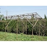 積水樹脂 フルーツパーゴラ KINGサイズ