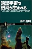 暗黒宇宙で銀河が生まれる (サイエンス・アイ新書)