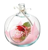 Paseo 茶箱入り プリザーブドフラワー フローリーアップル レッド 14×14×H17cm S-20RD