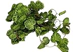 観葉植物 壁掛け インテリア 造花 グリーン 緑 壁 吊り (ベゴニア, 大1本)
