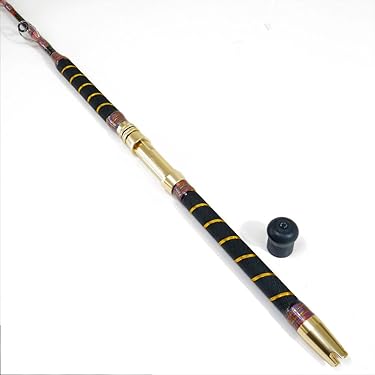 Amazon.co.jp 最新リリース: 船竿 の新着ランキングです。