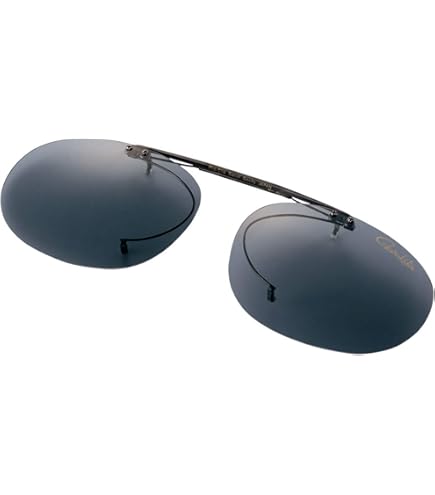 Amazon.co.jp: ESCHENBACH クリップオン サングラス ブラウン 2997