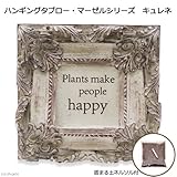 ハンギングタブロー マーゼルシリーズ キュレネ ネルソル付 多肉植物 寄植 壁掛 鉢 プランター