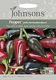 JOVE Johnsons Seeds Pepper (Hot) Hungarian Black ペッパー（トウガラシ）・ ハンガリアン・ブラック ジョンソンズシード