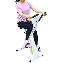 Amazon.co.jp: ティゴラ(TIGORA) フィットネスバイク TR FB003
