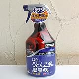 殺虫殺菌剤：マイローズ 殺菌スプレー950ml 1個[バラのうどん粉・黒星病に・住友化学園芸] ノーブランド品