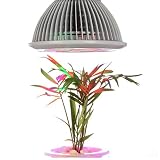 Arong 植物育成ライト プラントライト 12W 室内栽培ランプ LED電球 観賞用ライト LEDランプ 園芸 温室 盆栽 水耕庭園