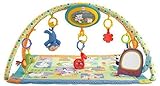 Fisher-Price Sing-Along Musical Friends Gym by Fisher-Price [並行輸入品]