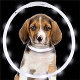 Ruanyi USB充電式LED光る犬の首の防水調節可能な点滅の輝くペット安全襟ホワイト