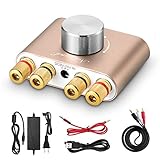 Nobsound NS-01G Pro Bluetooth 5.0 100W HiFi パワーアンプ スピーカー用 オーディオアダプター DC19V 電源アダプター付き (ゴールド)