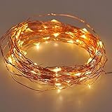 IREALIST Copper Wire Starry LED String Light 100 Leds 33 ft Rope Lights For Seasonal Decorative Chri