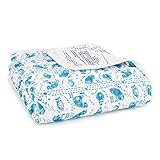 aden + anais (エイデンアンドアネイ) 【日本正規品】 モスリンコットン クラシック・ドリーム・ブランケット kindred dream blankets-R603