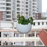 RaiFu 植木鉢　吊り下げ　陶器　植物　ホワイト　セラミック　吊り植木鉢　盆栽　ホーム　オフィス　デコレーション　インテリア