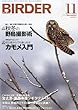 BIRDER (バーダー)2013年 11月号 秋冬の野鳥撮影術/カモメ入門