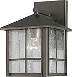 Forte Lighting 1061-01-14 Exterior Wall Light with Clear Seeded Glass Shades, Royal Bronze [並行輸入品]