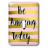 Anne Marie Baugh – Inspirational – Be Amazing今日onピンクとストライプゴールド水彩 – 照明スイッチカバー – シングルトグルスイッチ( LSP _ 23